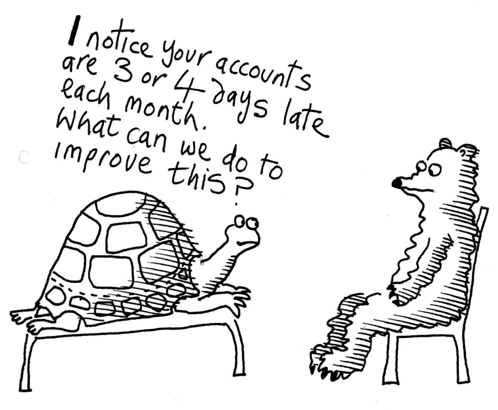 Tortoise Bear Accounts